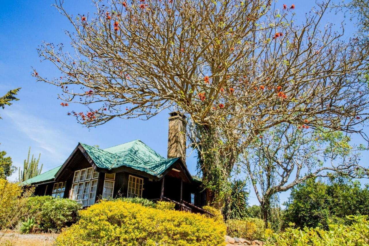 Naro Moru River Lodge Экстерьер фото