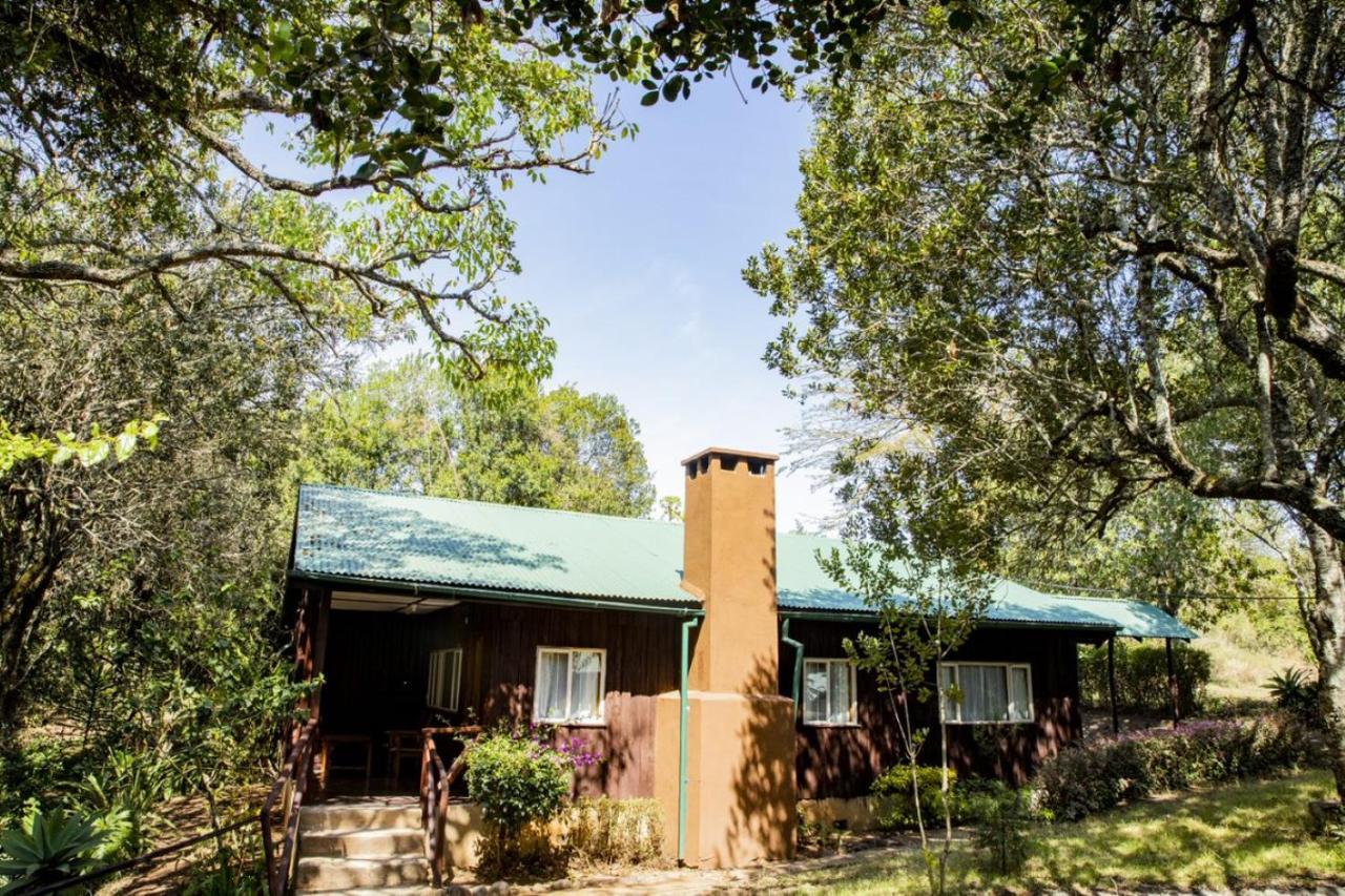 Naro Moru River Lodge Экстерьер фото