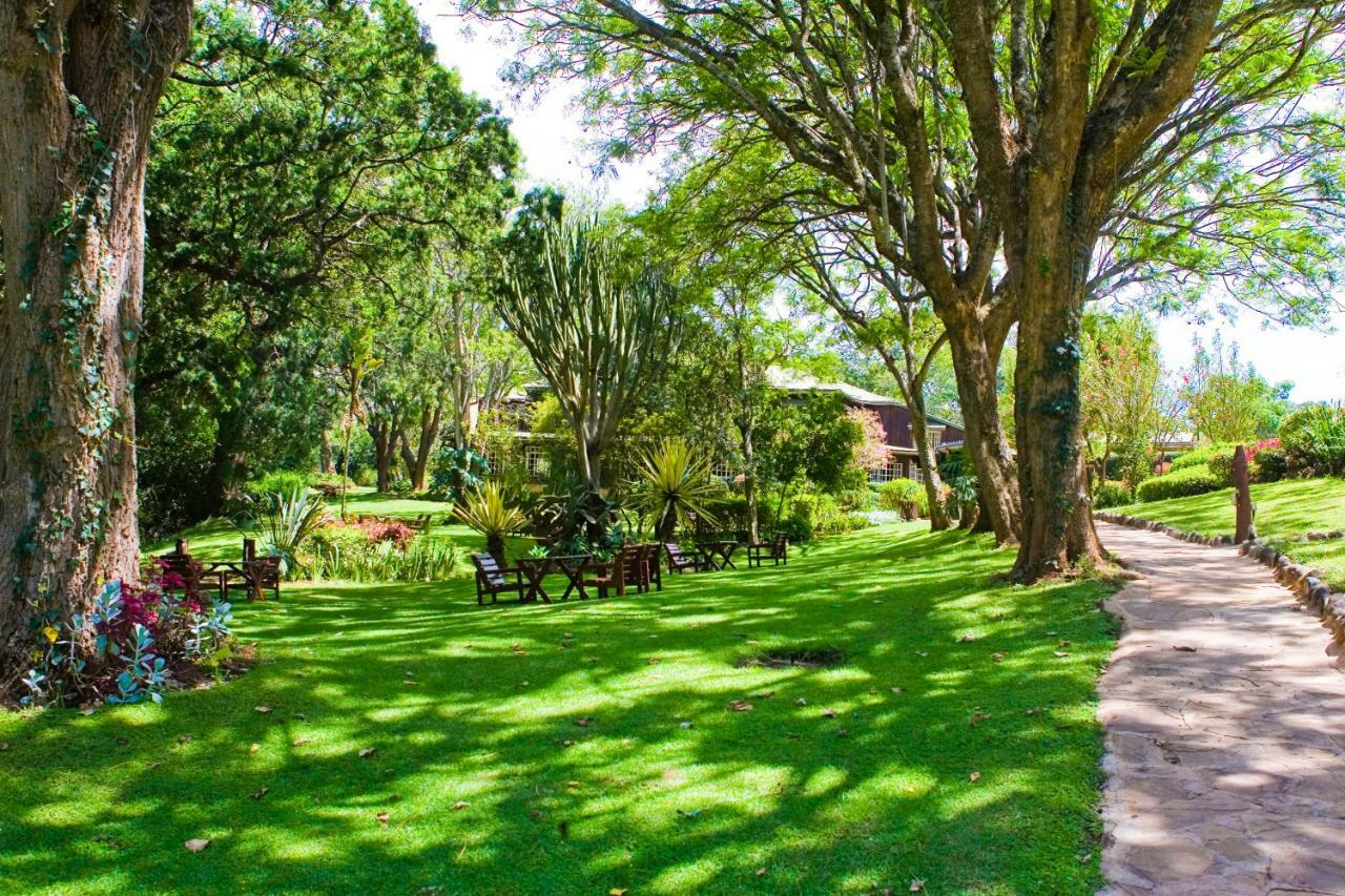 Naro Moru River Lodge Экстерьер фото